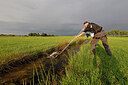 BUITEN BEELD Foto: 443843