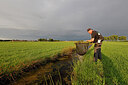 BUITEN BEELD Foto: 443844
