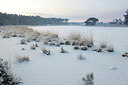 BUITEN BEELD Foto: 443868