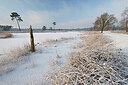 BUITEN BEELD Foto: 443881