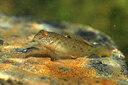 BUITEN BEELD Foto: 443894