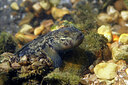 BUITEN BEELD Foto: 443903