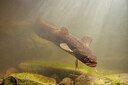 BUITEN BEELD Foto: 443912