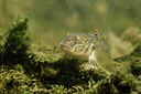 BUITEN BEELD Foto: 443915
