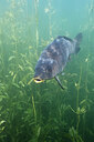 BUITEN BEELD Foto: 443916