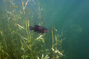 BUITEN BEELD Foto: 443923