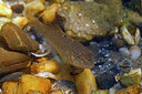 BUITEN BEELD Foto: 443925