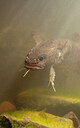 BUITEN BEELD Foto: 443934