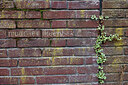 BUITEN BEELD Foto: 443936