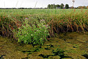 BUITEN BEELD Foto: 443948