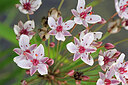 BUITEN BEELD Foto: 443962