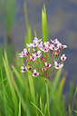 BUITEN BEELD Foto: 443964