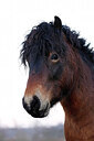 BUITEN BEELD Foto: 443965