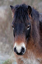 BUITEN BEELD Foto: 443966