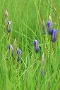 BUITEN BEELD Foto: 443984