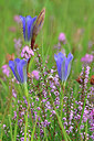 BUITEN BEELD Foto: 443985