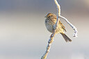 BUITEN BEELD Foto: 443993