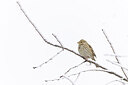 BUITEN BEELD Foto: 443994