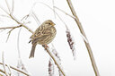 BUITEN BEELD Foto: 443996