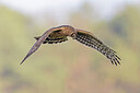BUITEN BEELD Foto: 444001