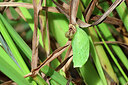 BUITEN BEELD Foto: 444004