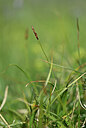 BUITEN BEELD Foto: 444037