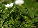 BUITEN BEELD Foto: 444038