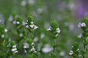 BUITEN BEELD Foto: 444039