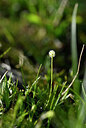 BUITEN BEELD Foto: 444041
