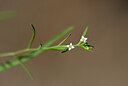 BUITEN BEELD Foto: 444043