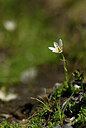 BUITEN BEELD Foto: 444044