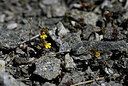 BUITEN BEELD Foto: 444047