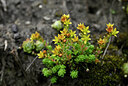 BUITEN BEELD Foto: 444049