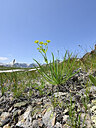 BUITEN BEELD Foto: 444052