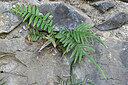BUITEN BEELD Foto: 444053