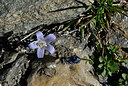 BUITEN BEELD Foto: 444057