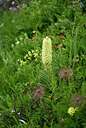 BUITEN BEELD Foto: 444060
