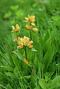 BUITEN BEELD Foto: 444061