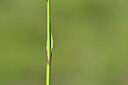 BUITEN BEELD Foto: 444067