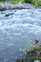 BUITEN BEELD Foto: 444068