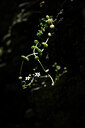 BUITEN BEELD Foto: 444071