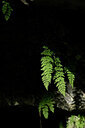 BUITEN BEELD Foto: 444072