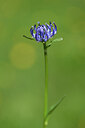 BUITEN BEELD Foto: 444078