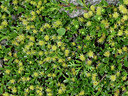 BUITEN BEELD Foto: 444081