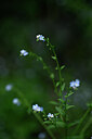 BUITEN BEELD Foto: 444084