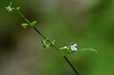 BUITEN BEELD Foto: 444086