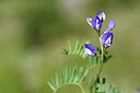 BUITEN BEELD Foto: 444087