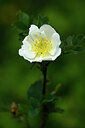 BUITEN BEELD Foto: 444089