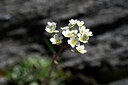 BUITEN BEELD Foto: 444094