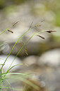 BUITEN BEELD Foto: 444095